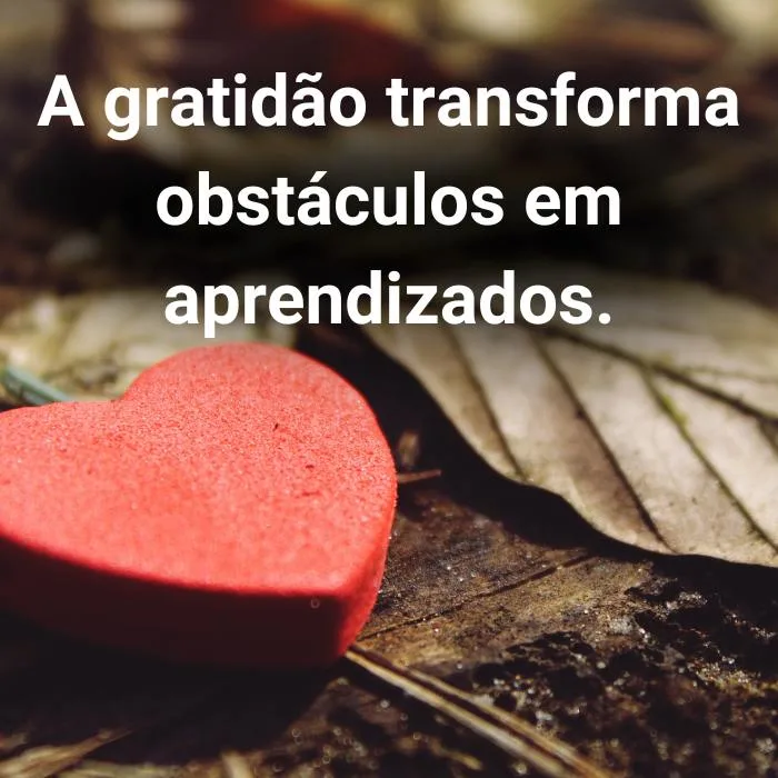 30 Frases de Motivação e Gratidão: Mensagens para te Fortalecer